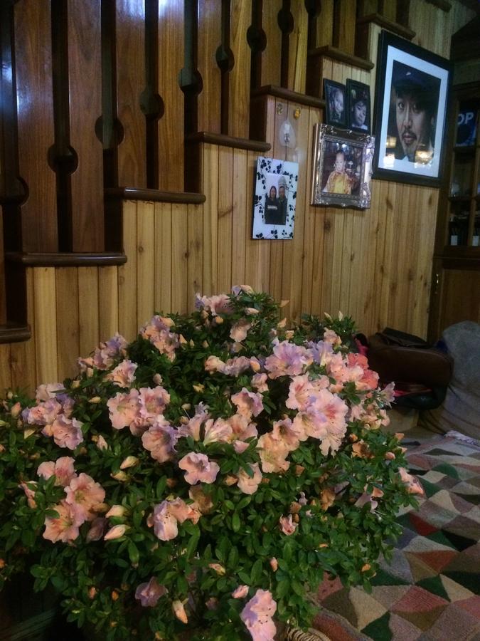 Ngawang Homestay 다르질링 외부 사진